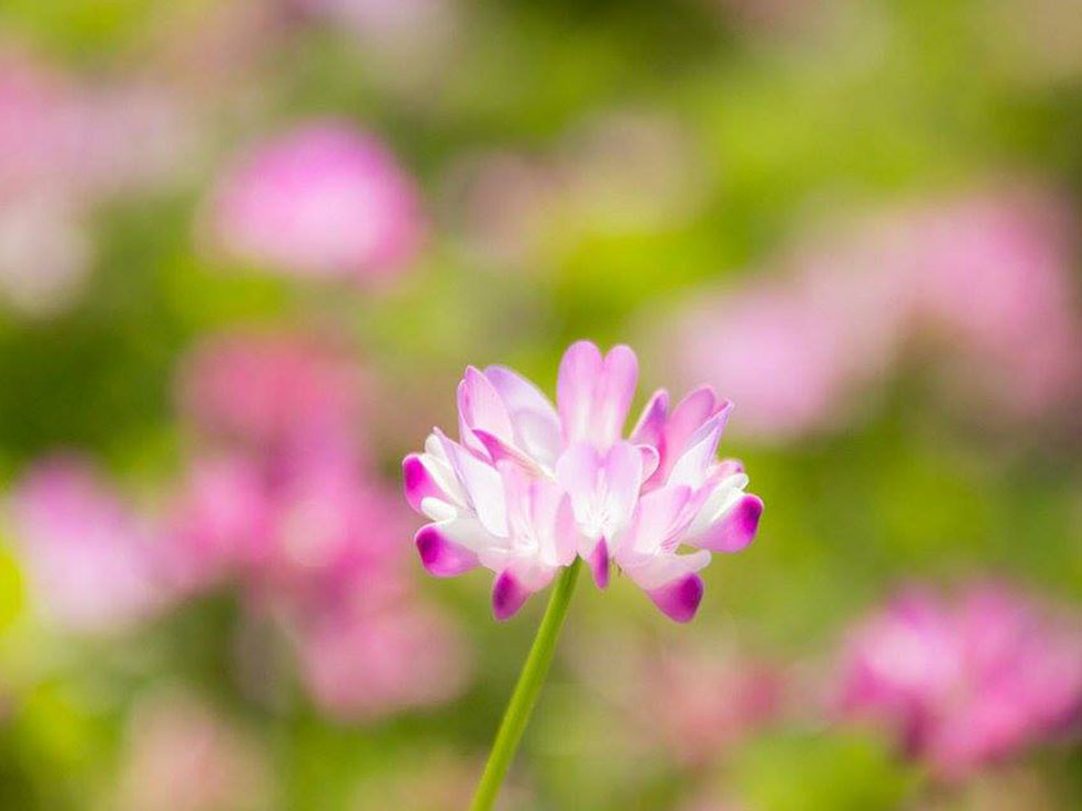 onaka_3
