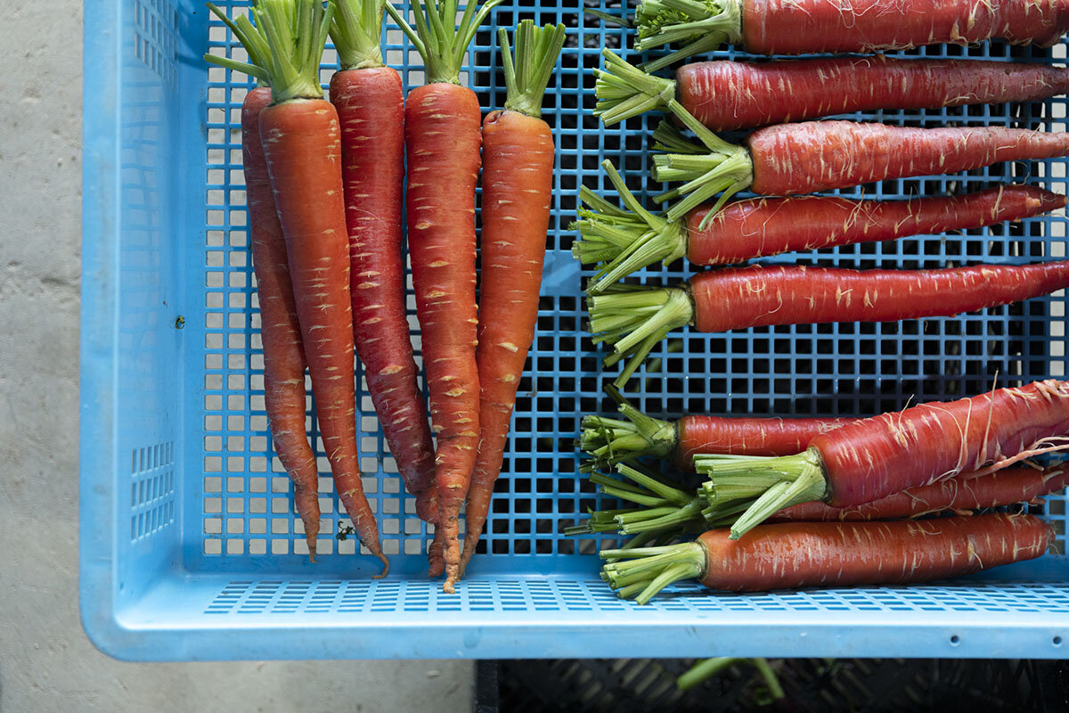 行き場のない規格外野菜を乾燥野菜にして、生産者の魅力も丸ごと届ける