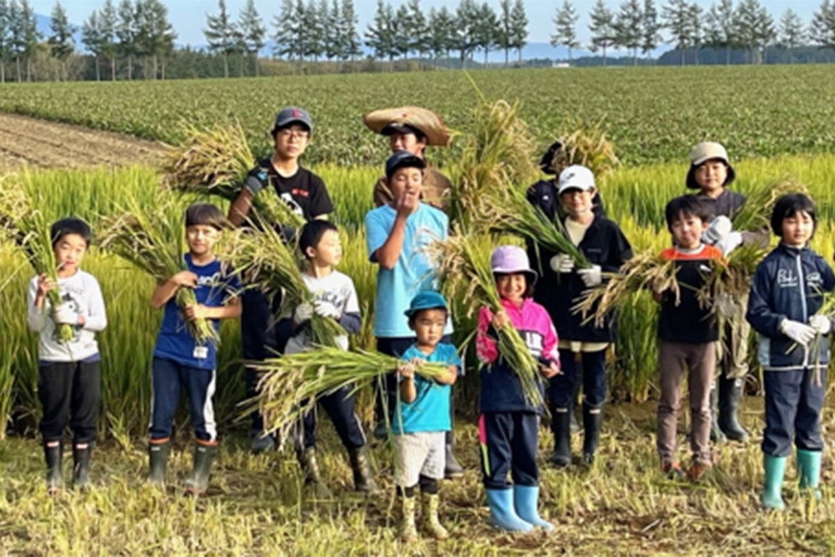 ビールから始まる農業革新。ビール酵母細胞壁由来の農業資材で進化するコメ作り