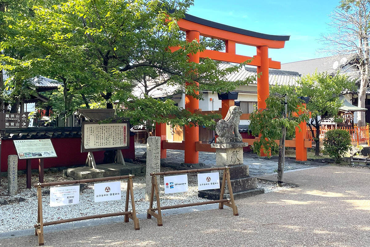 木製バリケードで、環境も街も救う。学生のアイディアから生まれた「森のスタンド」