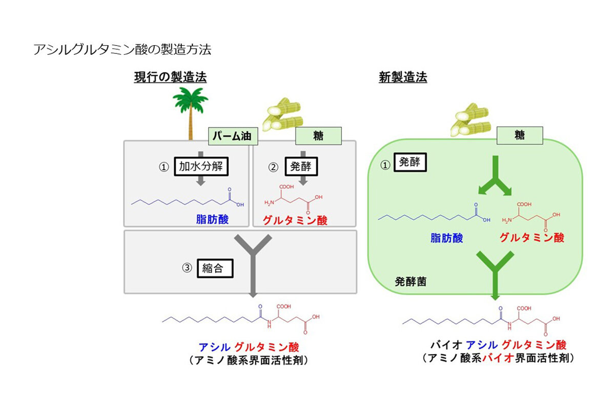 パーム油フリーの化粧品はできるのか。熱帯雨林を守るための味の素の挑戦