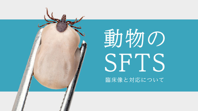 小動物の臨床薬理学 薬物動態学標準問題演習 | 鴫原淳 |本 | 通販 | Amazon