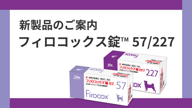 ☆Fa☆Fa☆プロフ必読！専用 プロフィットジュニア+10 ゆらめく – セーラーショップ