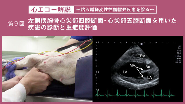 3522bf20-f1b4-4c38-8eee-