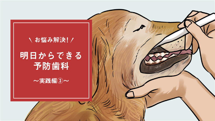 獣医歯科座談会 お悩み解決！明日からできる予防歯科～実践編③後編～