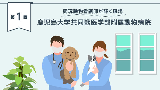 as 動物病院 動物看護 定期購読 動物看護｜雑誌｜EDUONE ONLINE STORE