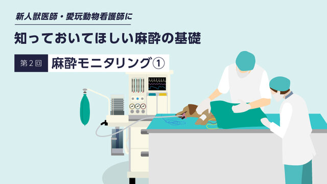 犬と猫の麻酔モニタリング 犬と猫の麻酔モニタリング | 伊丹 貴晴 |本 | 通販 | Amazon