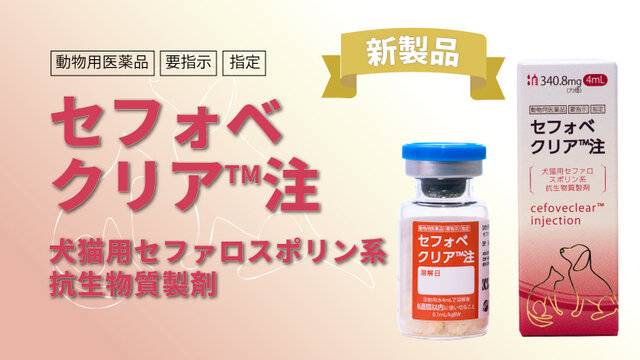 最新の知見に基づく全身麻酔下での鼠径ヘルニア日帰り手術の安全