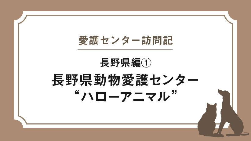 愛護センター訪問記 長野編① 長野県動物愛護センター“ハローアニマル”