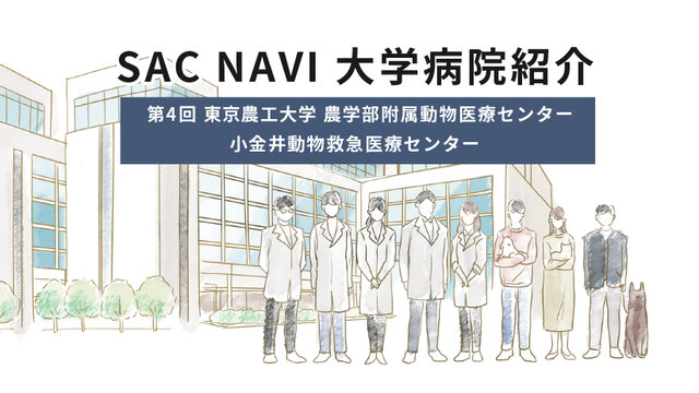 東京農工大学（農学部附属動物医療センター / 小金井動物救急