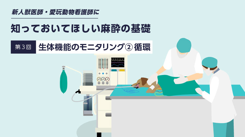 新人獣医師・愛玩動物看護師に知っておいてほしい麻酔の基礎　～第3回生体機能のモニタリング② 循環