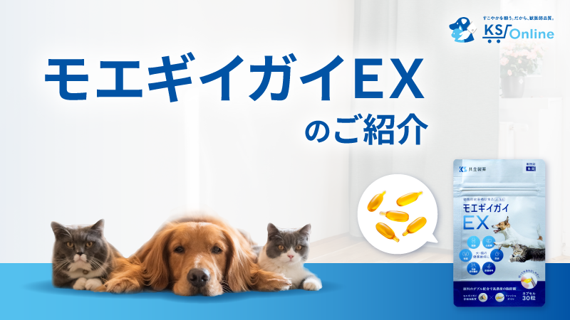 モエギイガイEX のご紹介