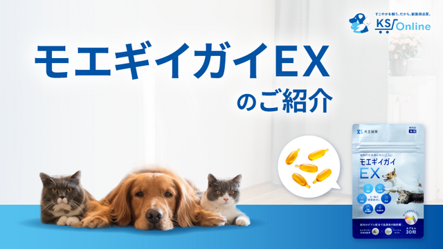 モエギイガイEX のご紹介 | SAC NAVI｜共立製薬
