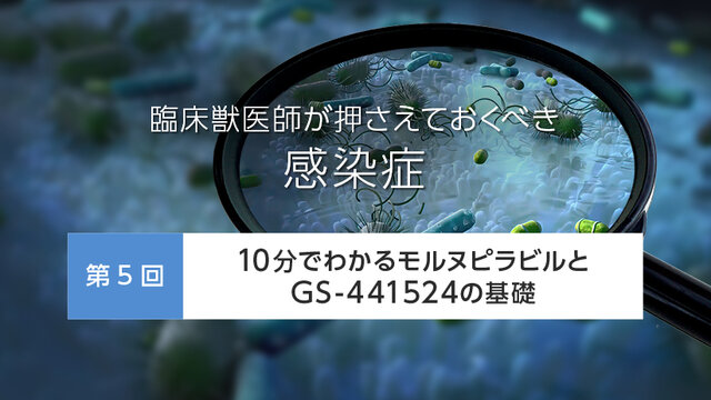 臨床獣医師が押さえておくべき感染症 [第5回] 10分でわかる