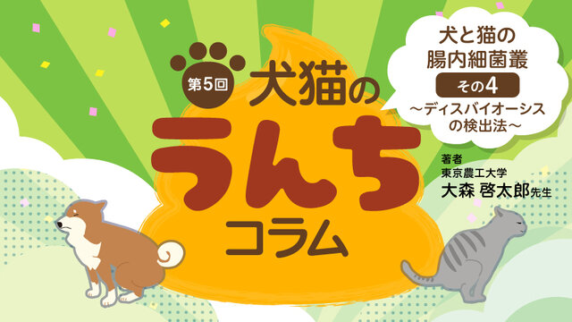 犬猫のうんちコラム［第5回］ 犬と猫の腸内細菌叢その4 ～ディスバイ