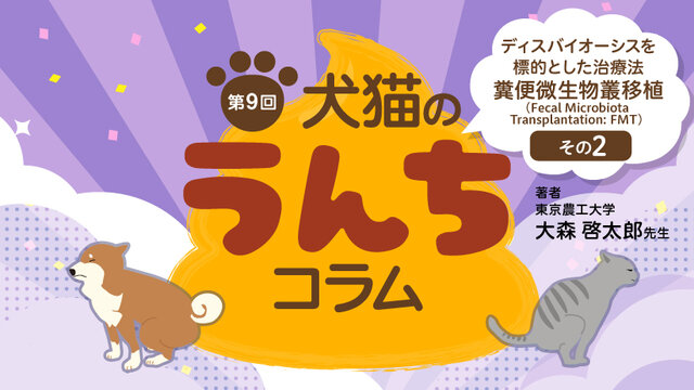 犬・猫の腫瘍学 理論から臨床まで Amazon.co.jp: 犬・猫の腫瘍学: 理論から臨床まで : C