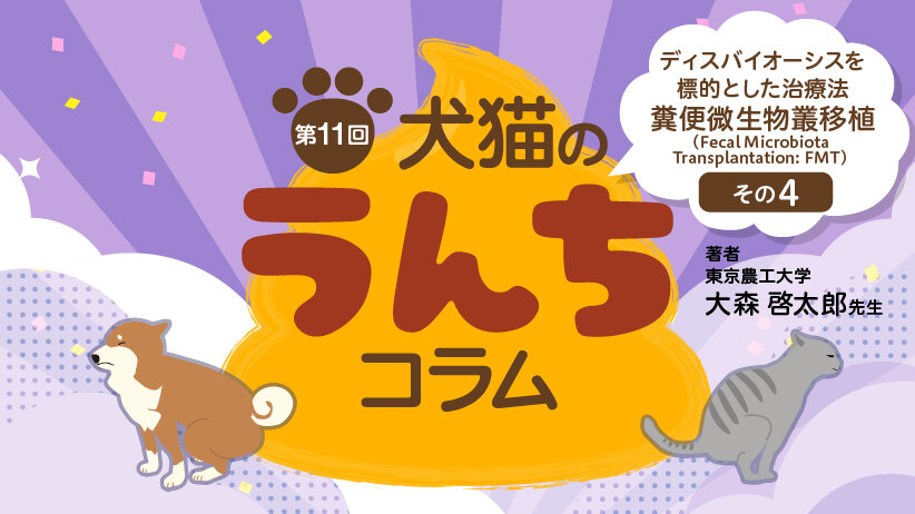 犬猫のうんちコラム [第11回] ～ディスバイオーシスを標的とした治療法：糞便微生物叢移植（Fecal Microbiota Transplantation: FMT）その4～