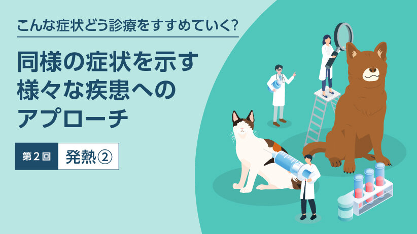 こんな症状どう診療をすすめていく？ ～同様の症状を示す様々な疾患へのアプローチ～ 第2回：発熱②（腎盂腎炎）