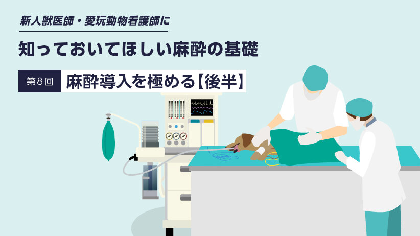 新人獣医師・愛玩動物看護師に知っておいてほしい麻酔の基礎　～第8回 麻酔導入を極める【後半】～
