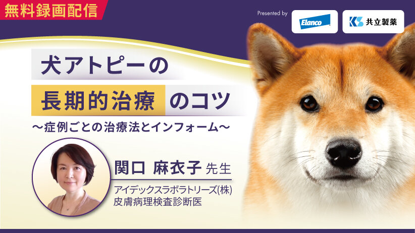 犬アトピーの長期的治療のコツ ～症例ごとの治療法とインフォーム～