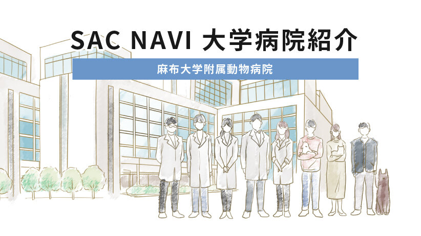 SAC NAVI 大学病院紹介　麻布大学附属動物病院