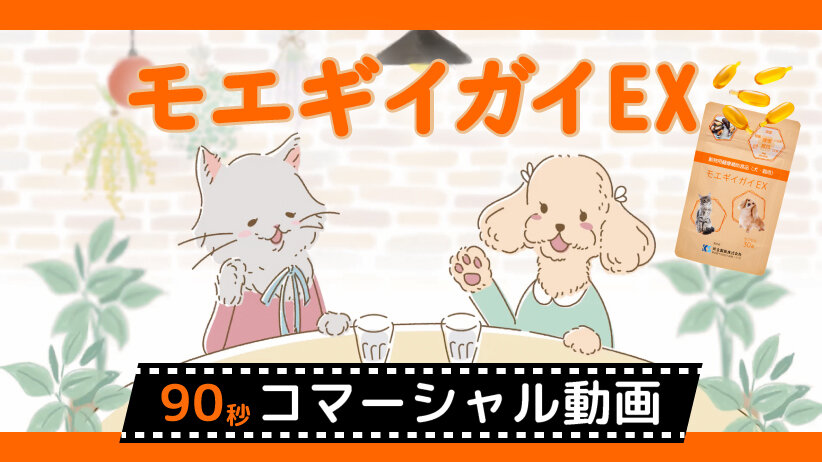 「モエギイガイ EX」90秒コマーシャル動画