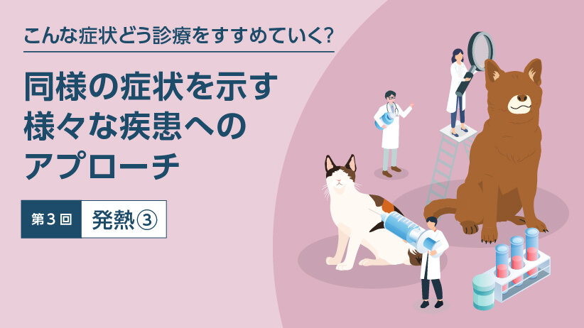 こんな症状どう診療をすすめていく？ ～同様の症状を示す様々な疾患へのアプローチ～ 第3回：発熱③
