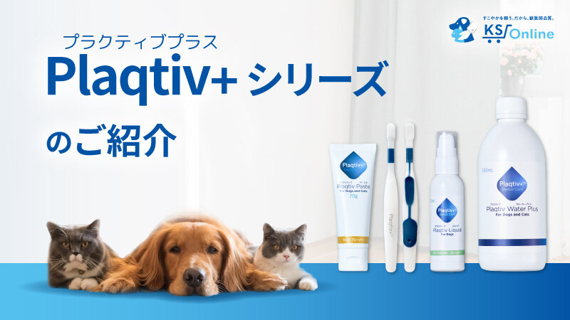 デンタルケア新製品のご案内「Plaqtiv+（プラクティブプラス）シリーズ」