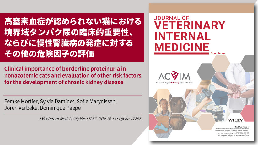 高窒素血症が認められない猫における境界域タンパク尿の臨床的重要性、ならびに慢性腎臓病の発症に対するその他の危険因子の評価