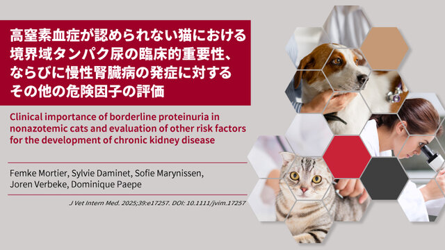 +裁断済 イヌとネコの腎泌尿器病学 犬と猫の腎臓病診療ハンドブック 株式会社 緑書房