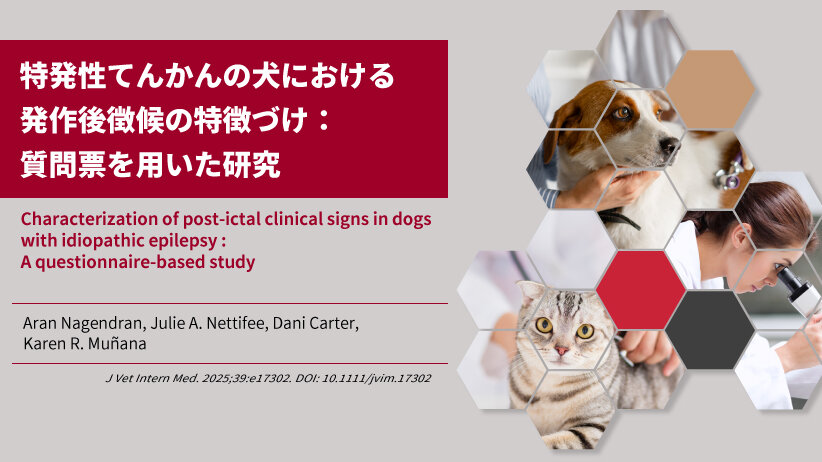 特発性てんかんの犬における発作後徴候の特徴づけ：質問票を用いた研究