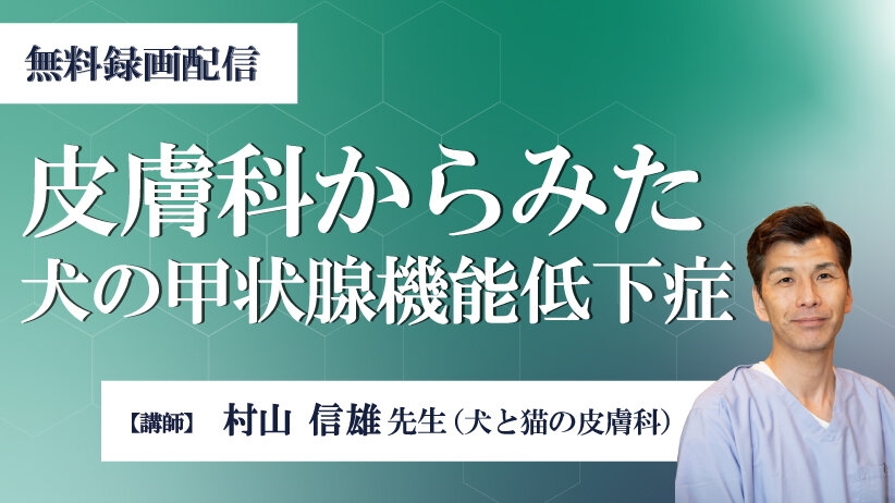 皮膚科からみた犬の甲状腺機能低下症