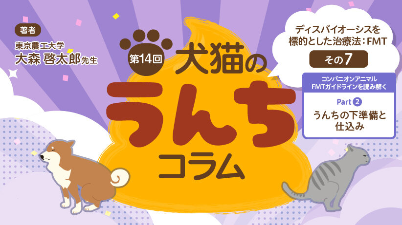 犬猫のうんちコラム [第14回] ディスバイオーシスを標的とした治療法：FMT その7～コンパニオンアニマルのFMTガイドラインを読み解く：Part 2「うんちの下準備と仕込み」～
