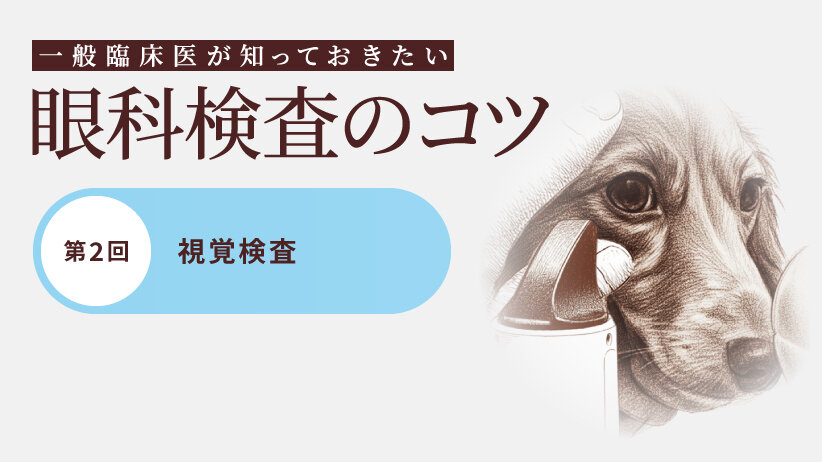 一般臨床医が知っておきたい眼科検査のコツ【第2回】視覚検査