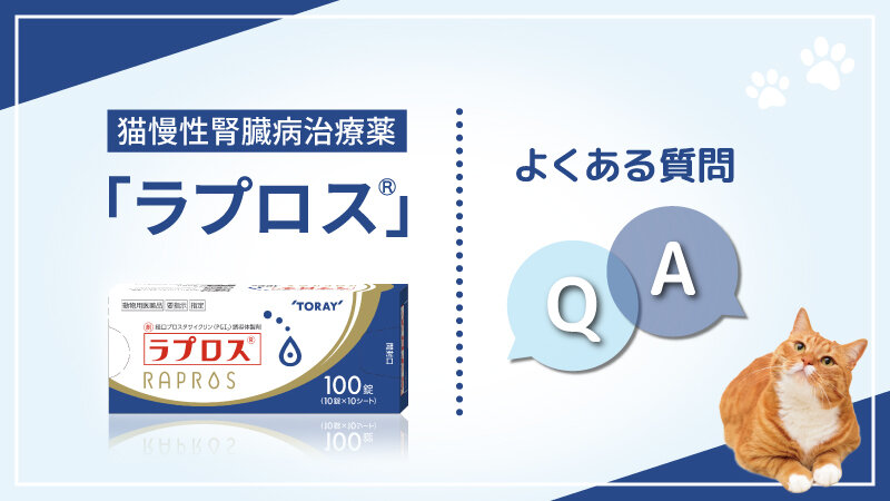 猫慢性腎臓病治療薬「ラプロス®」よくある質問