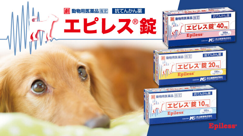 抗てんかん薬「エピレス®錠」