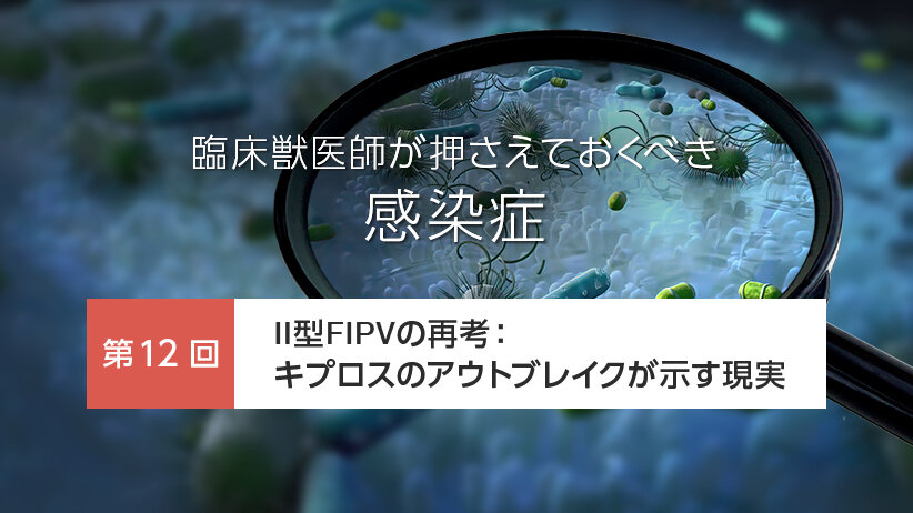 臨床獣医師が押さえておくべき感染症 [第12回] II型FIPVの再考：キプロスのアウトブレイクが示す現実