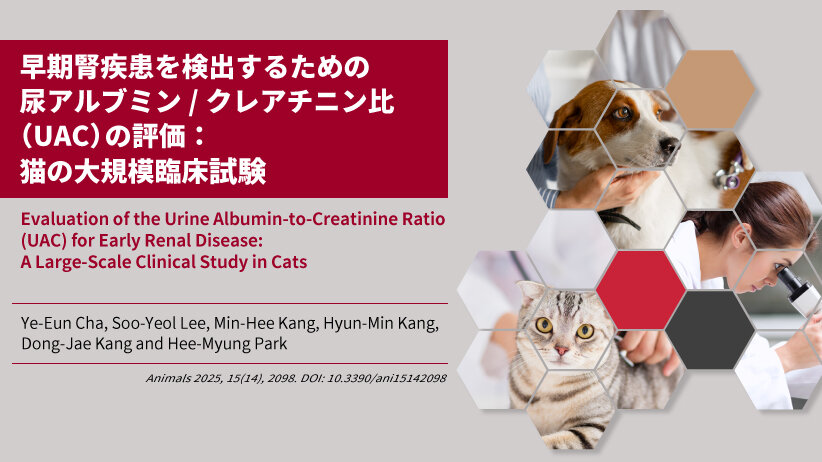 早期腎疾患を検出するための尿アルブミン/クレアチニン比（UAC）の評価： 猫の大規模臨床試験
