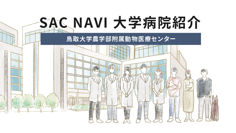 SAC NAVI 大学病院紹介 鳥取大学農学部附属動物医療センター