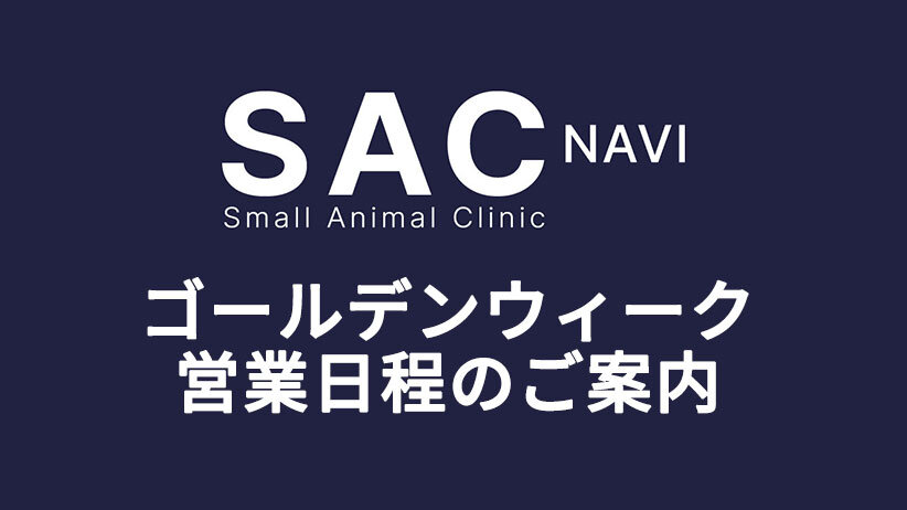 2026年ゴールデンウィーク営業日程のご案内