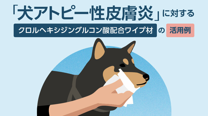 「犬アトピー性皮膚炎」に対するクロルヘキシジングルコン酸配合ワイプ材の活用例