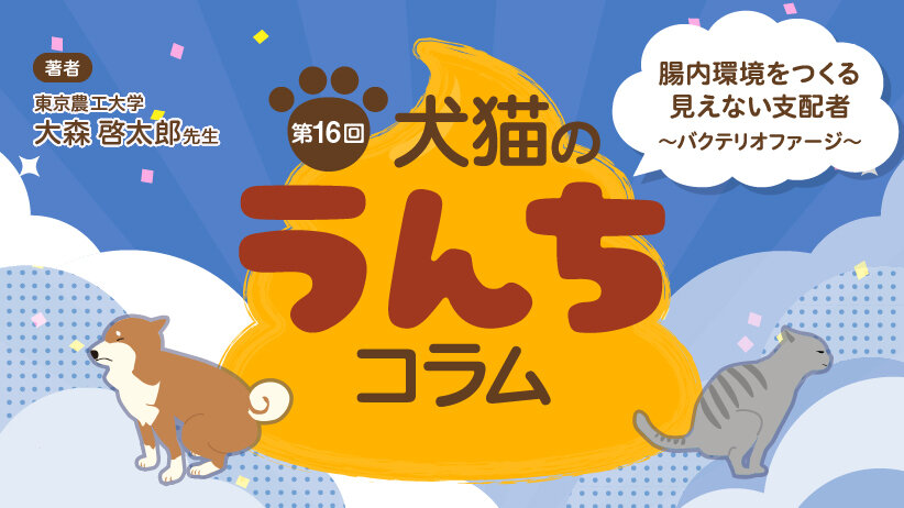 犬猫のうんちコラム [第16回] 腸内環境をつくる見えない支配者 ～バクテリオファージ～