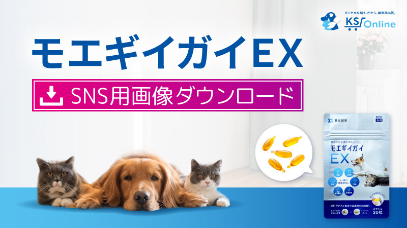 「モエギイガイ EX」SNS用画像