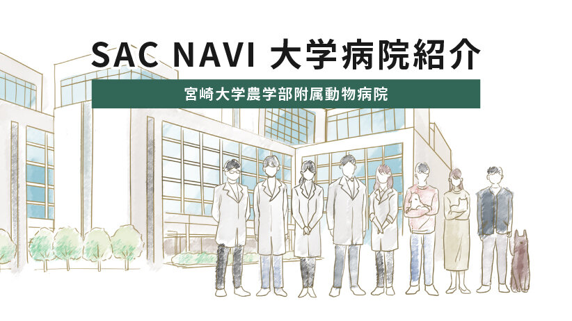 SAC NAVI 大学病院紹介　宮崎大学農学部附属動物病院