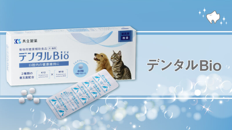 口腔内のプロバイオティクス「デンタルBio」