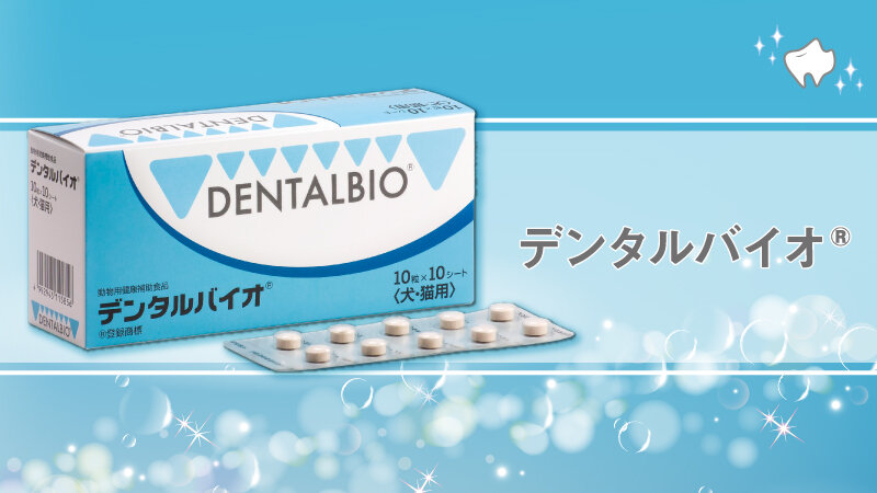 口腔内のプロバイオティクス「デンタルバイオ®」