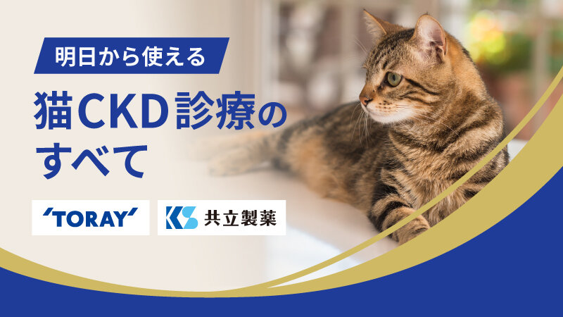 明日から使える猫CKD診療のすべて