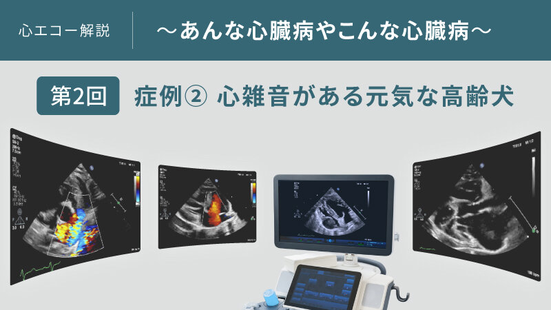 心エコー解説 ～あんな心臓病やこんな心臓病～【第2回】症例② 心雑音がある元気な高齢犬