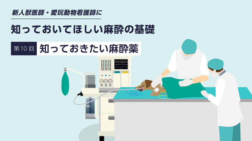 新人獣医師・愛玩動物看護師に知っておいてほしい麻酔の基礎　～第10回知っておきたい麻酔薬～