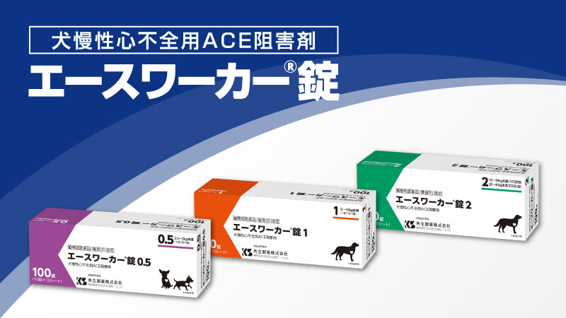 犬慢性心不全用ACE阻害剤「エースワーカー®錠」